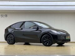 Tesla Model Y Rear-Wheel Drive - ფოტო 3