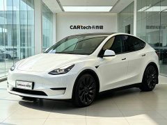 Tesla Model Y 2023 High Performance All-Wheel Drive - ფოტო 1