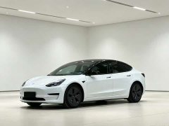 Tesla Model 3 2022 Rear-Wheel Drive - ფოტო 1