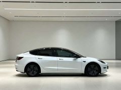 Tesla Model 3 2022 Rear-Wheel Drive - ფოტო 9