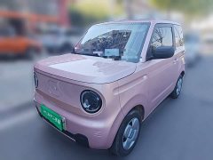 Geely Panda 2024 Panda Mini 200km Endurance Edition - ფოტო 1