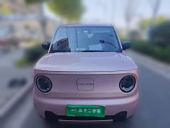 Geely Panda 2024 Panda Mini 200km Endurance Edition - ფოტო 2