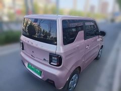 Geely Panda 2024 Panda Mini 200km Endurance Edition - ფოტო 4