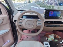 Geely Panda 2024 Panda Mini 200km Endurance Edition - ფოტო 6