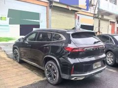 Chery Chitu Lingyun 300T Two-Wheel Drive Star Enjoy Edition - ფოტო 4