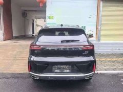Chery Chitu Lingyun 300T Two-Wheel Drive Star Enjoy Edition - ფოტო 6