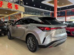 Lexus RX 2023 350h AWD Premium Edition - ფოტო 6