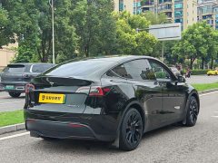 Tesla Model Y Rear-Wheel Drive - ფოტო 16