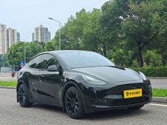Tesla Model Y Rear-Wheel Drive - ფოტო 2