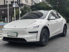 Tesla Model Y Rear-Wheel Drive - ფოტო 1