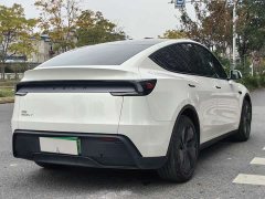 Tesla Model Y Rear-Wheel Drive - ფოტო 10
