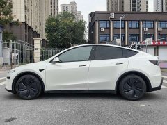 Tesla Model Y Rear-Wheel Drive - ფოტო 12