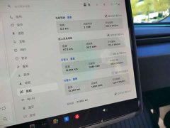 Tesla Model 3 2023 Rear-Wheel Drive - ფოტო 19