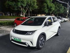 BYD Dolphin 405km Freedom Edition - ფოტო 1