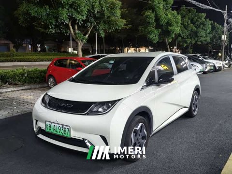 2022 BYD Dolphin 405km Freedom Edition - ავტომობილი ჩინეთიდან