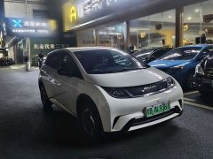 BYD Dolphin 405km Freedom Edition - ფოტო 3