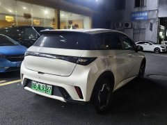 BYD Dolphin 405km Freedom Edition - ფოტო 7