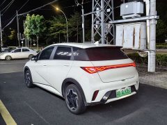 BYD Dolphin 405km Freedom Edition - ფოტო 9