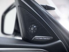 BMW M4 3.0T Manual - ფოტო 6