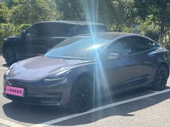 Tesla Model 3 2023 Long Range All-Wheel Drive - ფოტო 1
