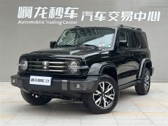 Tank 300 2021 City Edition 2.0T Very Stylish - фото 10