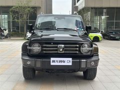 Tank 300 2021 City Edition 2.0T Very Stylish - фото 3