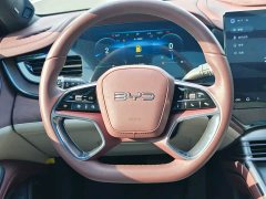 BYD Dolphin 2023 DM-i 1.5T 121km Premium Edition - ფოტო 15