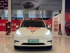 Tesla Model Y Rear-Wheel Drive - ფოტო 2