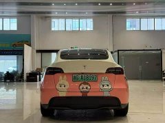 Tesla Model Y Rear-Wheel Drive - ფოტო 5