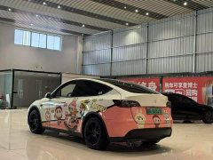 Tesla Model Y Rear-Wheel Drive - ფოტო 6