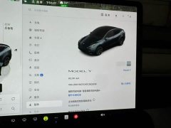 Tesla Model Y Rear-Wheel Drive - ფოტო 9