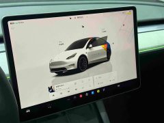 Tesla Model Y Rear-Wheel Drive - ფოტო 13
