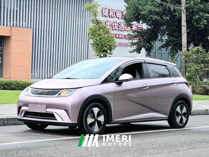 BYD Dolphin 420km Fashion Edition - ავტომობილი ჩინეთიდან