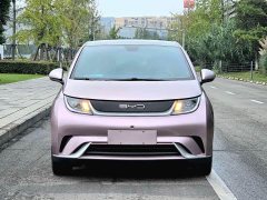 BYD Dolphin 420km Fashion Edition - ფოტო 2