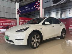Tesla Model Y Rear-Wheel Drive - ფოტო 1