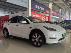 Tesla Model Y Rear-Wheel Drive - ფოტო 3