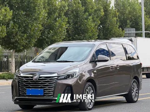 2023 Buick GL8 2022 Land Official Business Class 652T Comfort Edition - ავტომობილი ჩინეთიდან