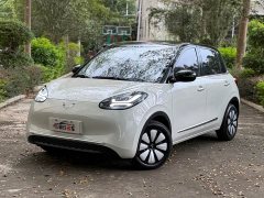 Wuling Binguo 2024 333km Joy Edition - ფოტო 1