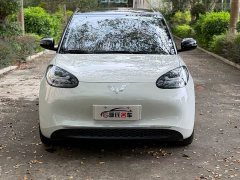 Wuling Binguo 2024 333km Joy Edition - ფოტო 2