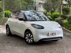 Wuling Binguo 2024 333km Joy Edition - ფოტო 3