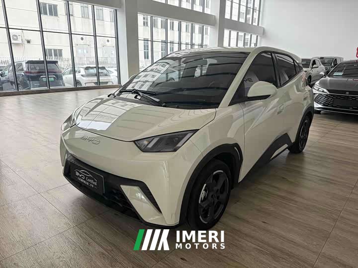 BYD Seagull 2023 Flying Edition - ავტომობილი ჩინეთიდან