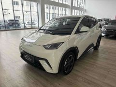 BYD Seagull 2023 Flying Edition - ფოტო 1