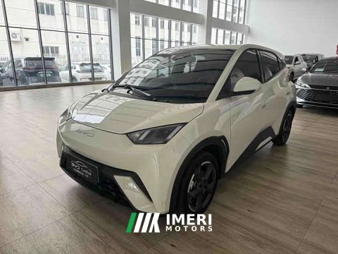 2024 BYD Seagull 2023 Flying Edition - ავტომობილი ჩინეთიდან