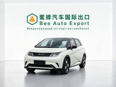 BYD Dolphin 2023 420km Fashion Edition - ფოტო 1
