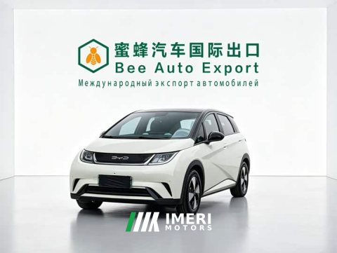 2024 BYD Dolphin 2023 420km Fashion Edition - ავტომობილი ჩინეთიდან