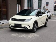 BYD Dolphin 2023 420km Fashion Edition - ფოტო 2