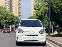SAIC Colewey Corey Wei CLEVER 302km Excellence Edition - photo 2