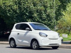 SAIC Colewey Corey Wei CLEVER 302km Excellence Edition - photo 3