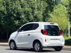 SAIC Colewey Corey Wei CLEVER 302km Excellence Edition - photo 4