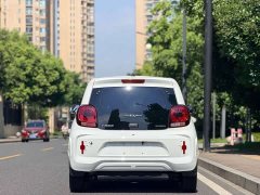 SAIC Colewey Corey Wei CLEVER 302km Excellence Edition - photo 5